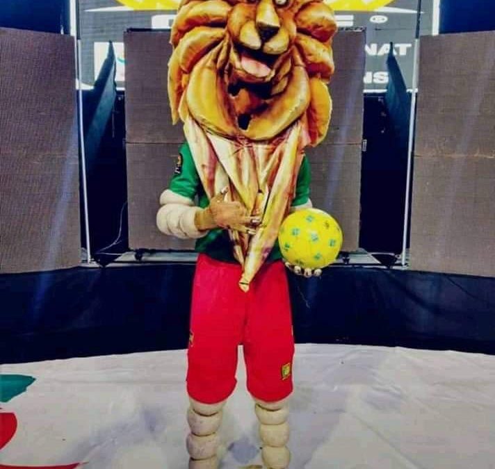 Tara – The Controversial CHAN Cameroon 2020 Mascot